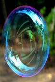 IIP Online Student Photography
